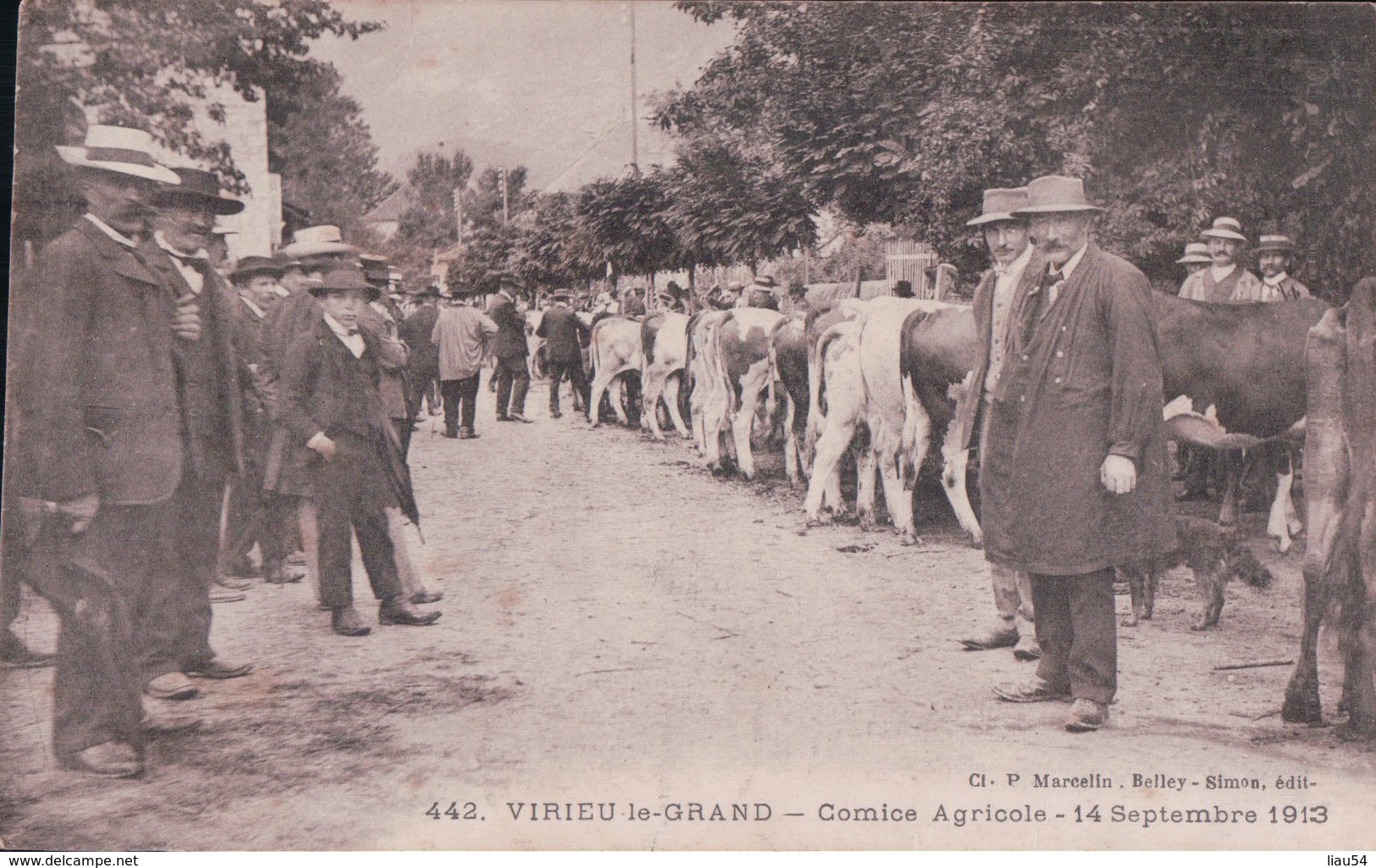 VIRIEU Le GRAND Comice Agricole 14 Septembre 1913 - Non Classés