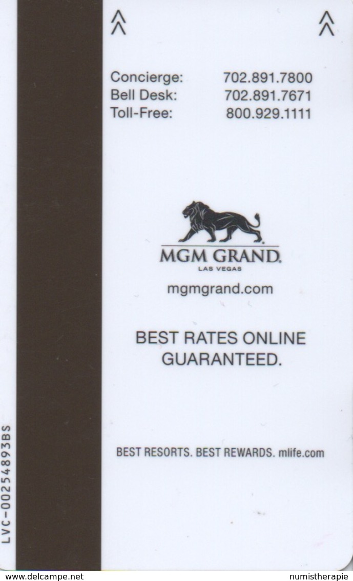 Carte Clé Hôtel Avec Casino Adjoint : MGM Grand : Your Winning Streak Started The Moment You Got This Key - Cartes D'hotel