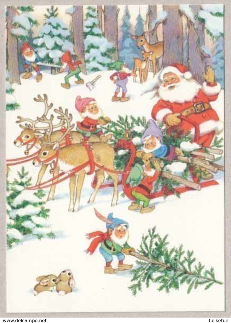 Santa Claus Is Bringing Christmas Trees With Reindeers Sleigh & Seven Little Dwarves - Santa Claus