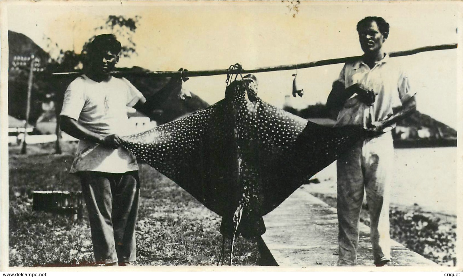 Archipel Des Fidjis, Photo-carte De 2 Pêcheurs Avec Une Raie, Beau Document - Fidji