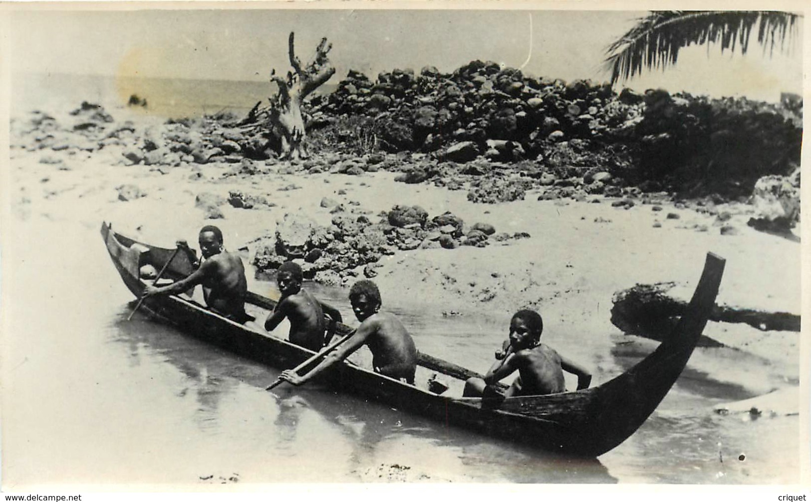 Papaousie Nouvelle-Guinée, Bougainville, Carte Photo De 4 Indigènes En Pirogue, Très Beau Document - Papouasie-Nouvelle-Guinée
