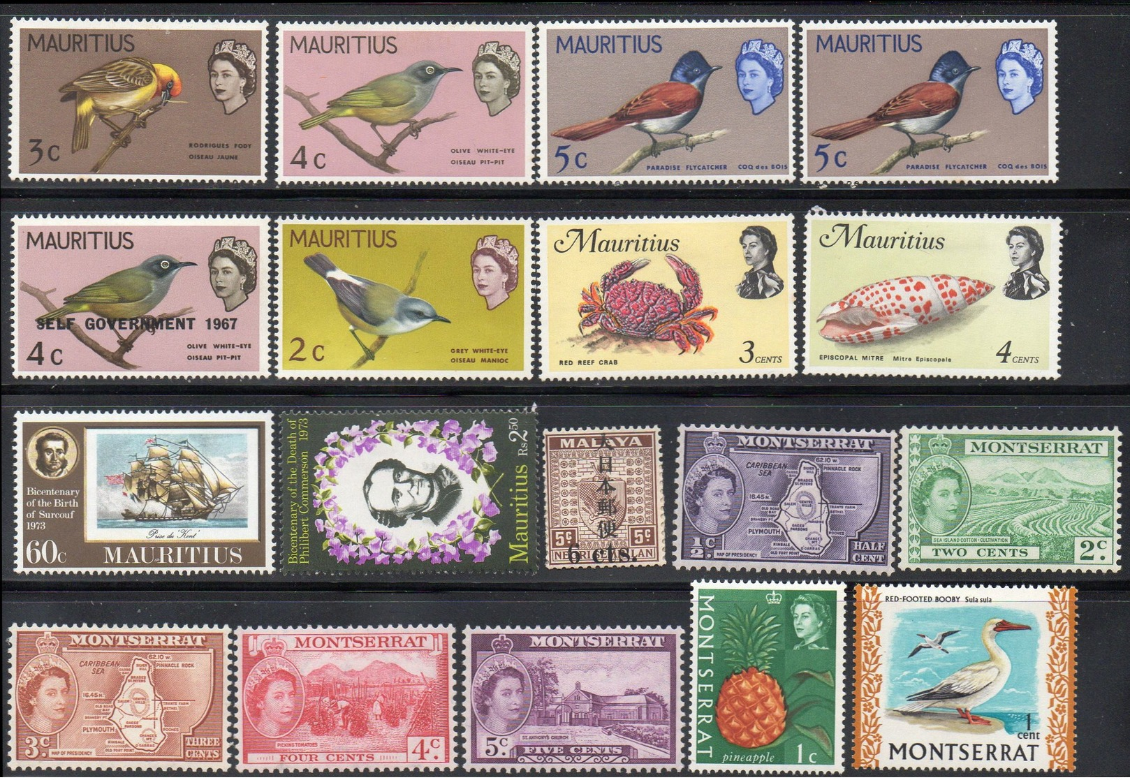 BRITISH COMMONWEALTH Collection Of 100 Mint Stamps - Collections (without Album)