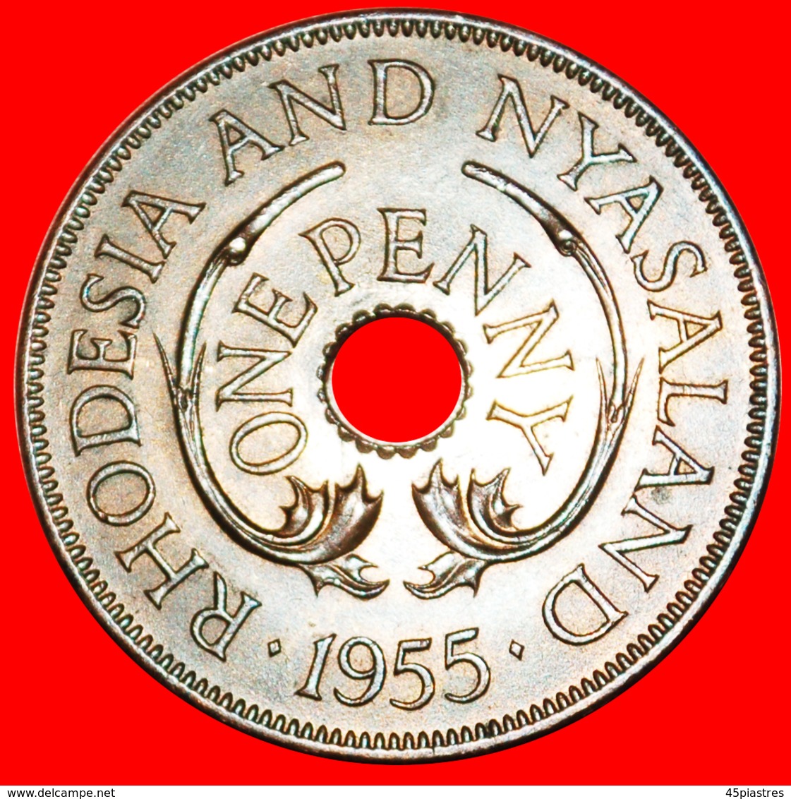 # ELEPHANTS: RHODESIA AND NYASALAND ★ 1 PENNY 1955 MINT LUSTER! LOW START ★ NO RESERVE! - Rhodésie