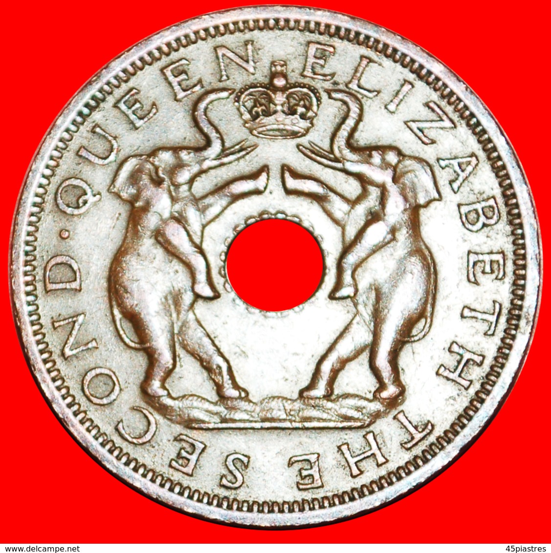 # ELEPHANTS (1955-1963): RHODESIA AND NYASALAND ★ 1 PENNY 1961! LOW START ★ NO RESERVE! - Rhodésie