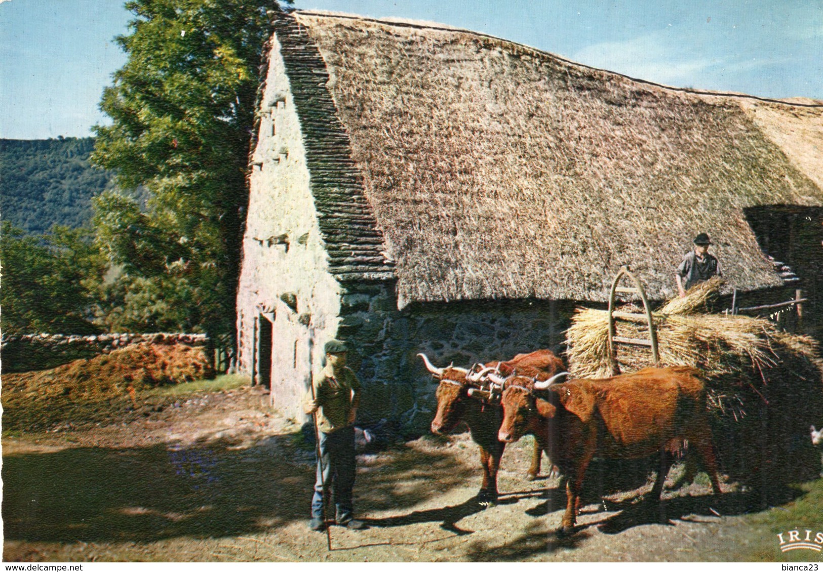 B53873 Environs De  Chaumeil - La Ferme Au Toit De Chaume - Autres & Non Classés