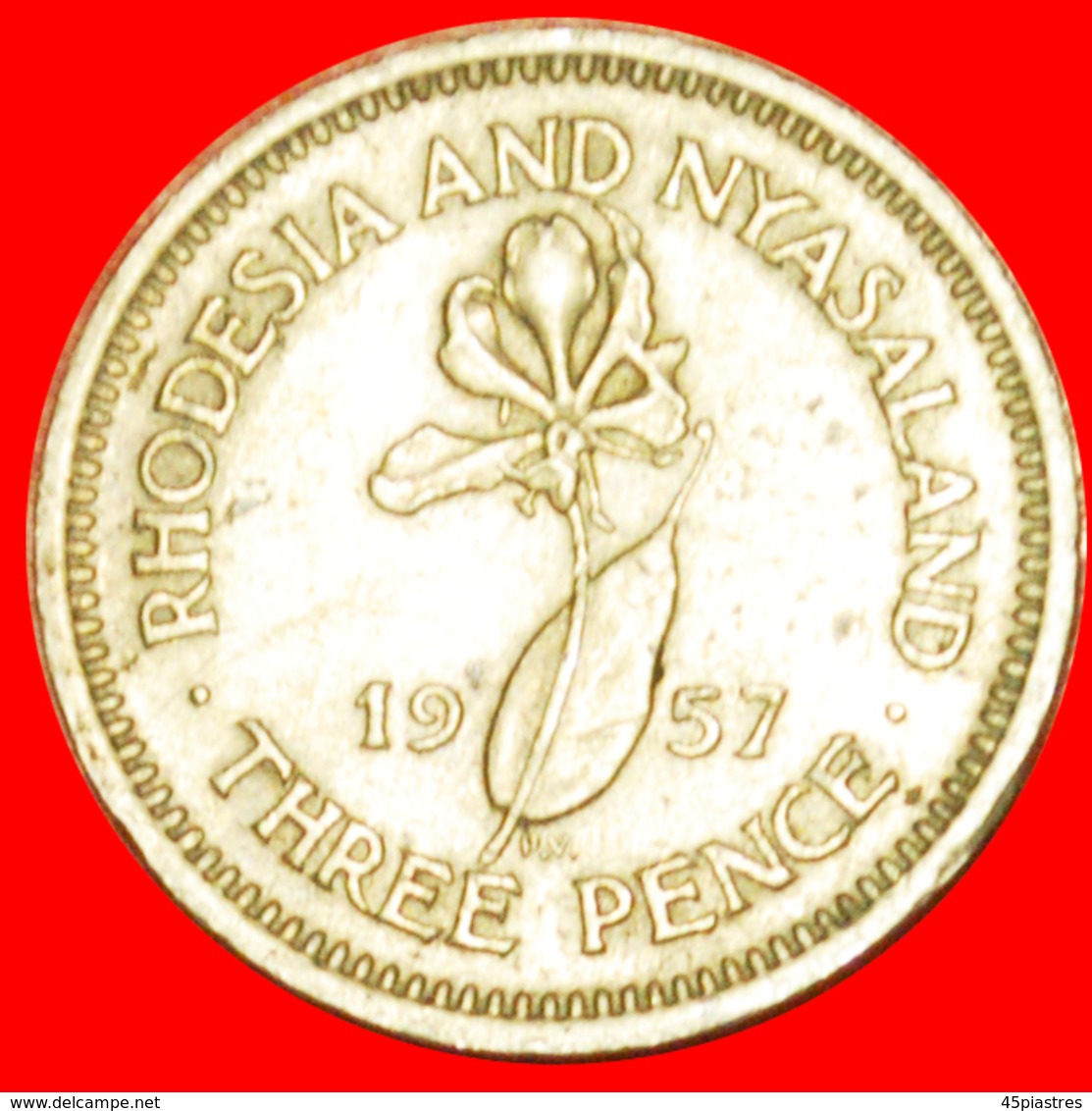 # LILY (1955-1964): RHODESIA AND NYASALAND ★ 3 PENCE 1957! LOW START ★ NO RESERVE! - Rhodésie