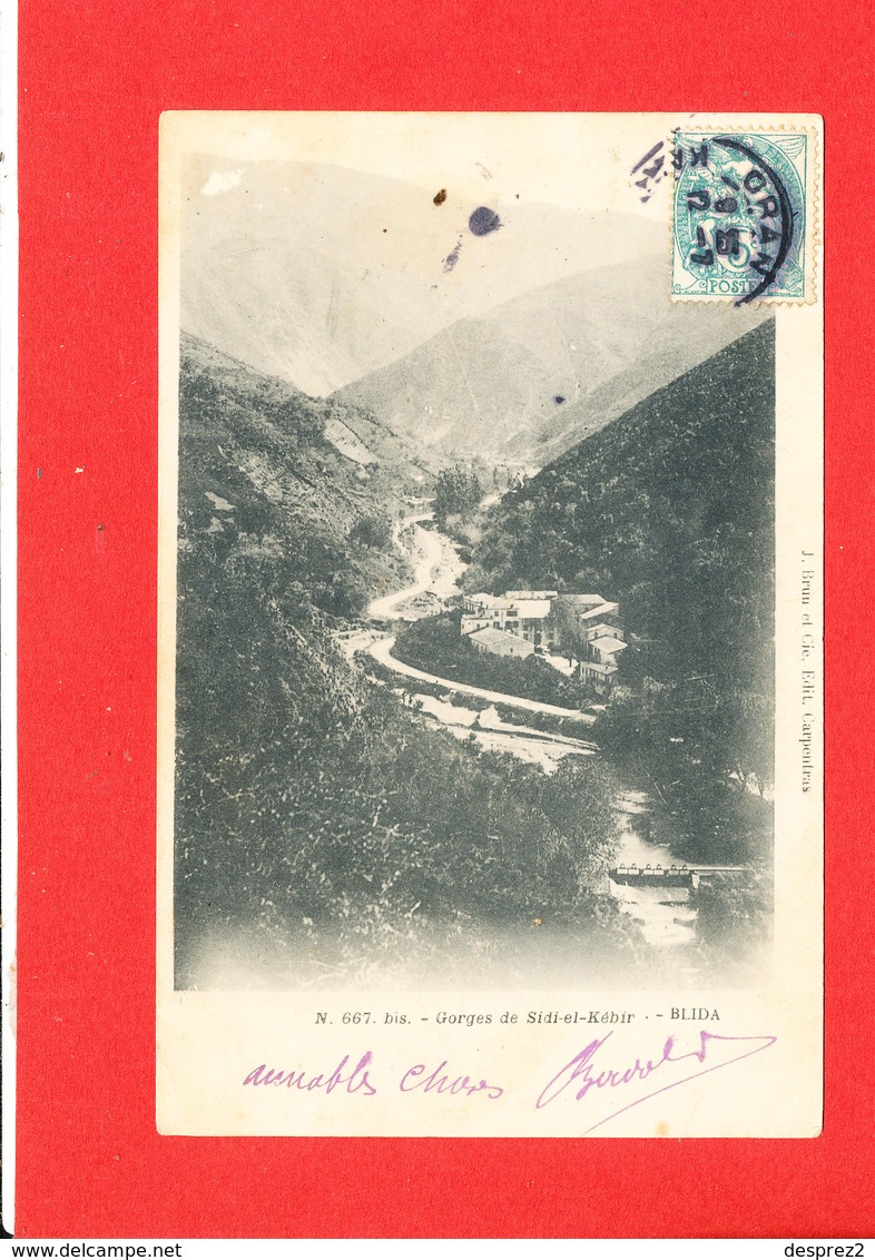 BLIDA Cpa Gorges De Sidi E Kébir    667 Bis Edit Brun - Blida