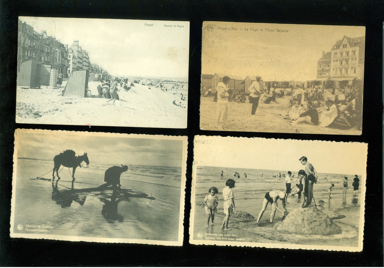 Beau lot de 50 cartes postales de Belgique  la côte Heyst sur Mer     Mooi lot van 50 postkaarten van België kust  Heist