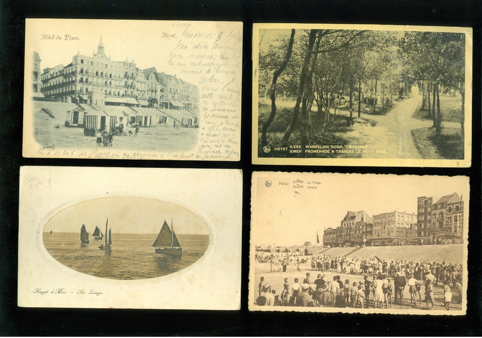 Beau lot de 50 cartes postales de Belgique  la côte Heyst sur Mer     Mooi lot van 50 postkaarten van België kust  Heist