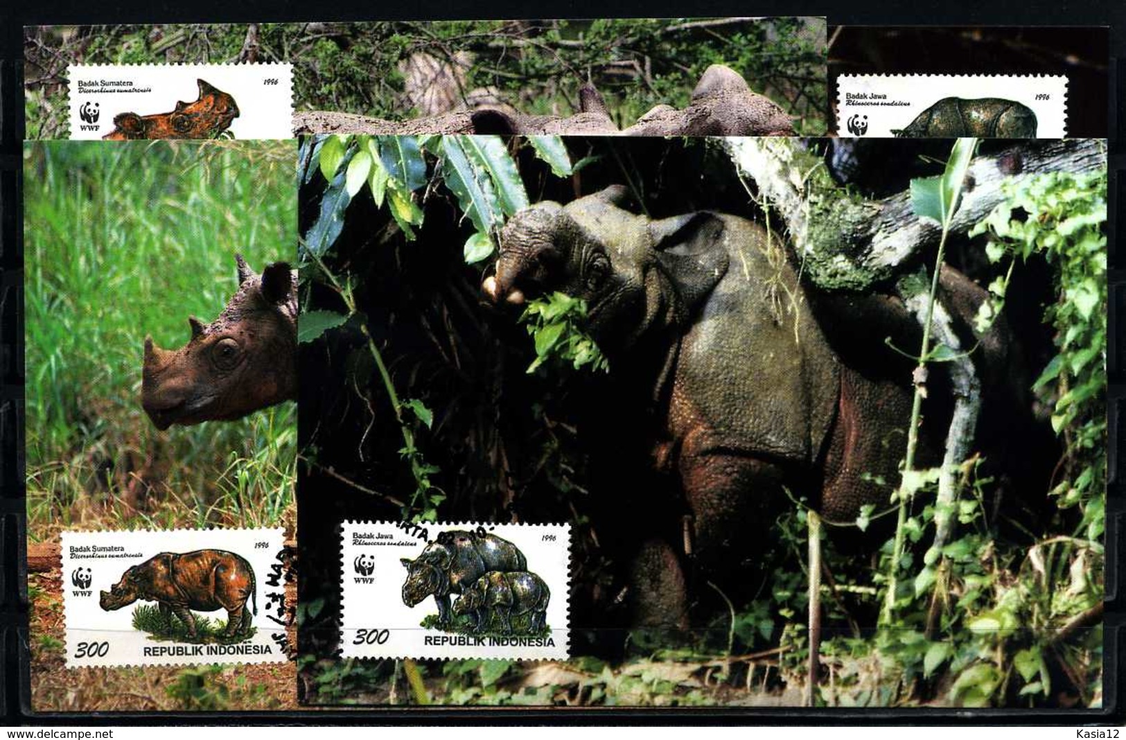 E07315)WWF-Maximumkarte Indonesien 1648/51 I Nashorn - Maximum Cards
