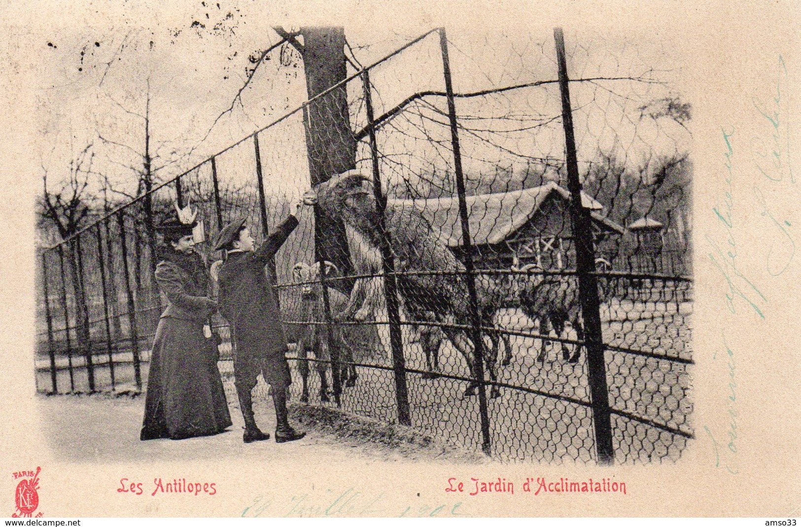 9629. CPA PARIS 75. JARDIN D'ACCLIMATATION. LES ANTILOPES - Musées