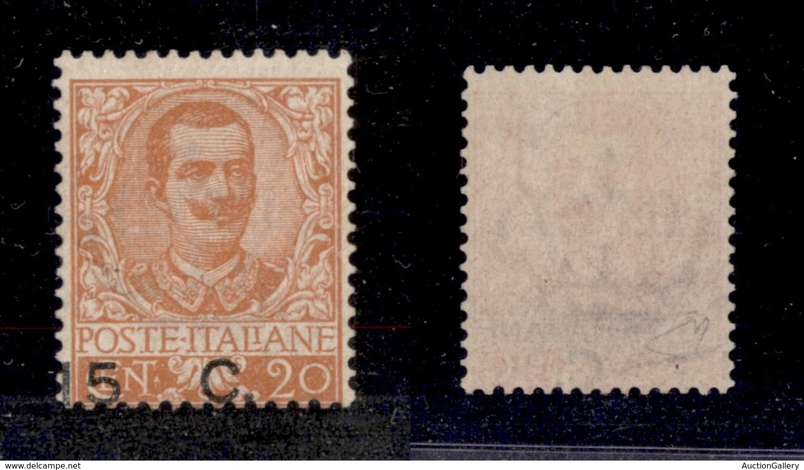 REGNO D'ITALIA - 1905 - 15 Cent Su 20 (79cb) - Gomma Integra - Diena (975) - Sonstige & Ohne Zuordnung