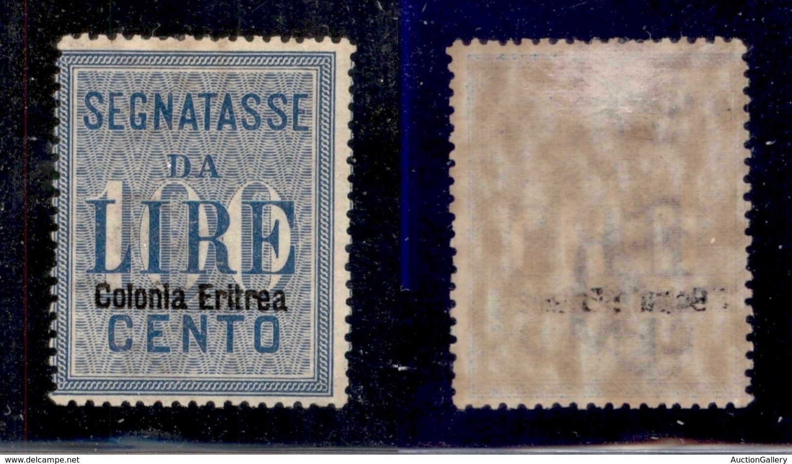 COLONIE ITALIANE - ERITREA - 1903 - Segnatasse - 100 Lire (13) - Gomma Originale (600) - Andere & Zonder Classificatie