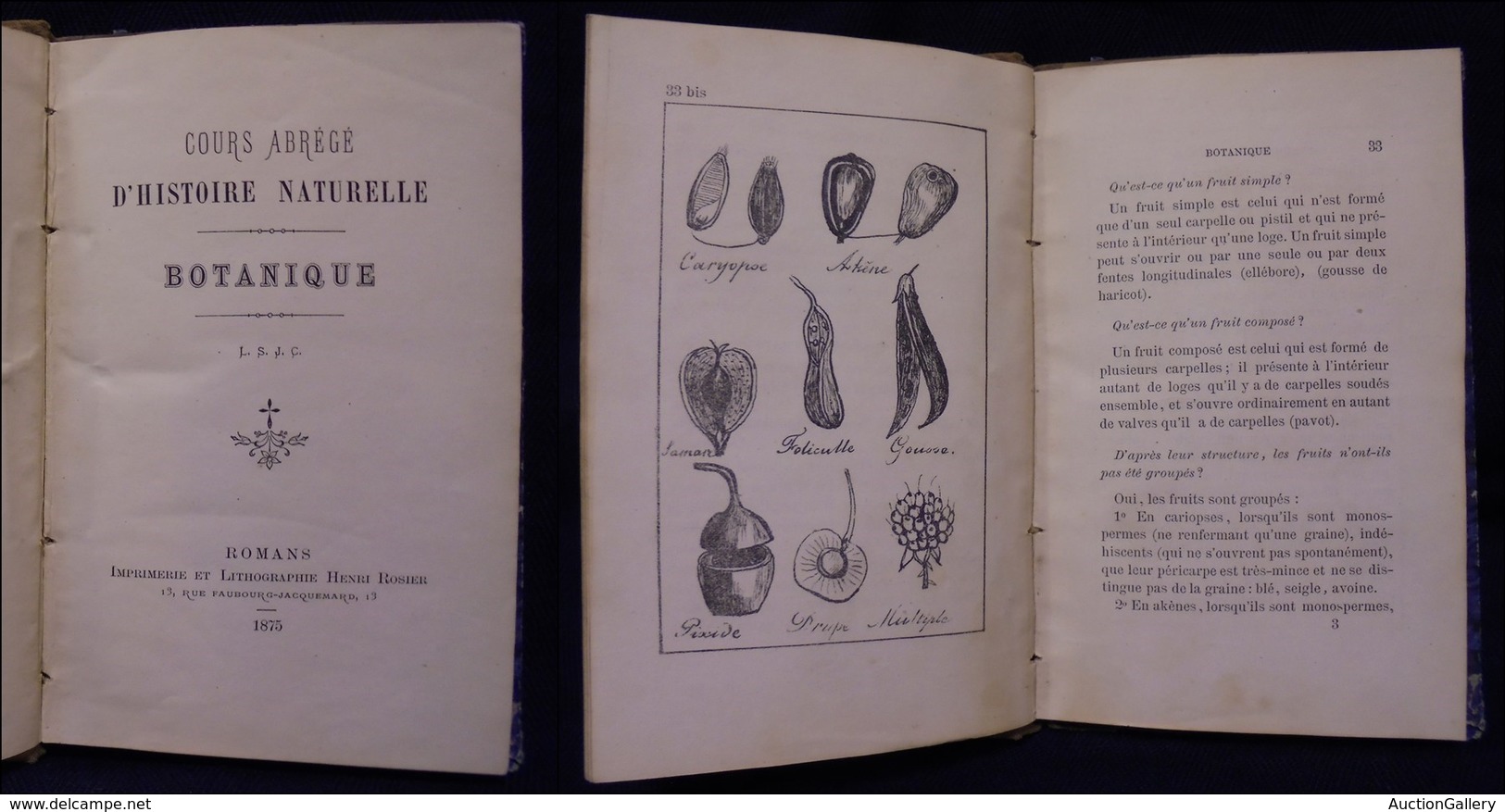 DOCUMENTI - VARIE - 1875 - Botanique - Cours Abrege D’Histoire Naturelle - 164 Pagine Con Una Trentina Di Inserti Illust - Sonstige & Ohne Zuordnung