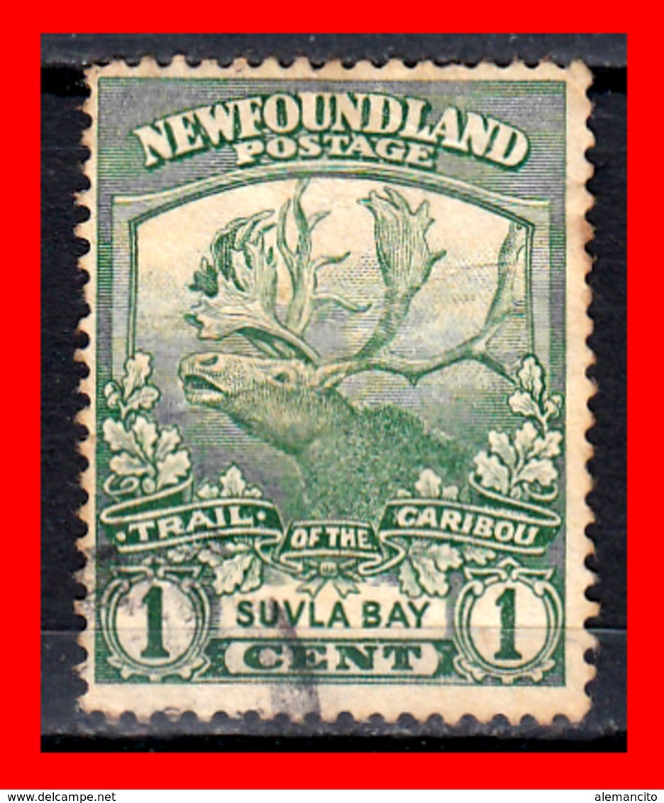 CANADA ISLA DE TERRANOVA   SELLO  CARIBOU HUNTING AÑO 1897 - Usados