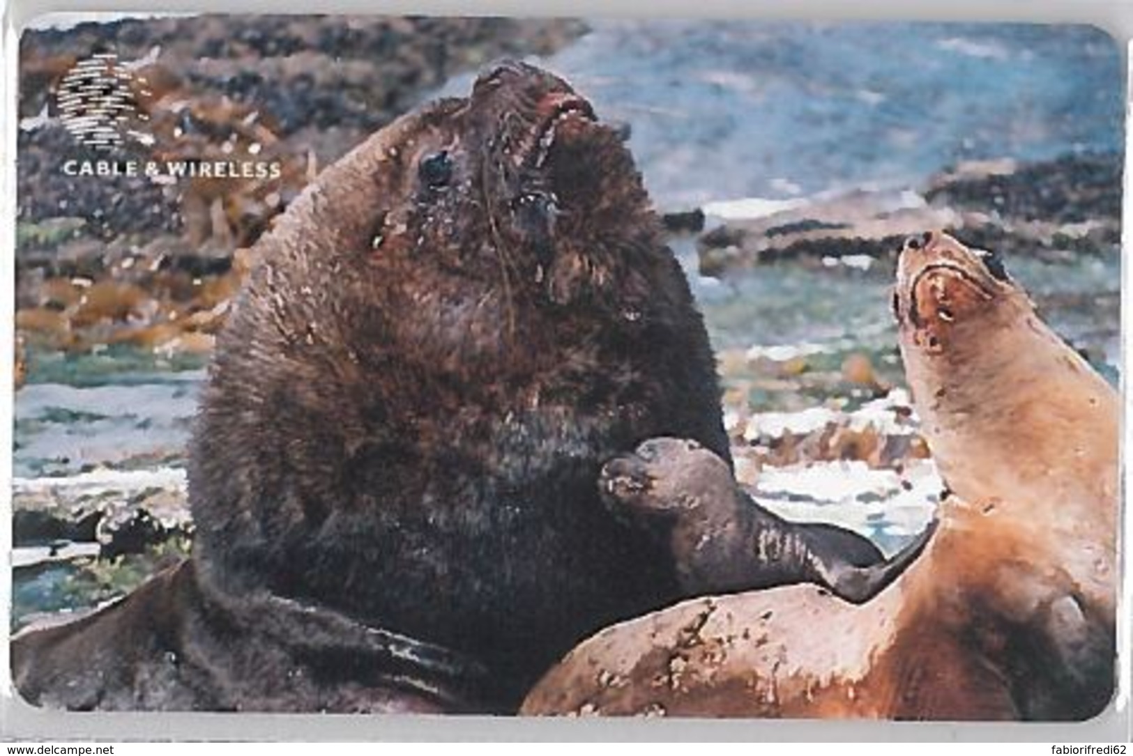 PHONE CARD - ISOLE FALKLAND (E36.25.5 - Isole Falkland