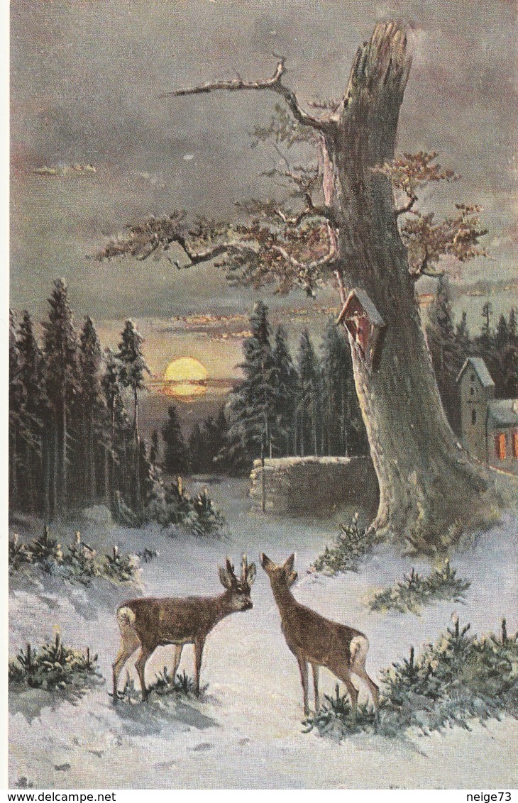 Carte Postale Ancienne Illustrée - Paysage Hivernal - Vers 1900 - Autres & Non Classés