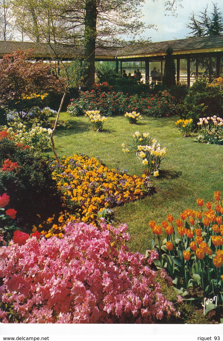 Lot 9 CPM FLORALIES INTERNATIONALES PARIS 1969 (Parc des Expo. Bois de Vincennes) dont 1cpm 1er jour