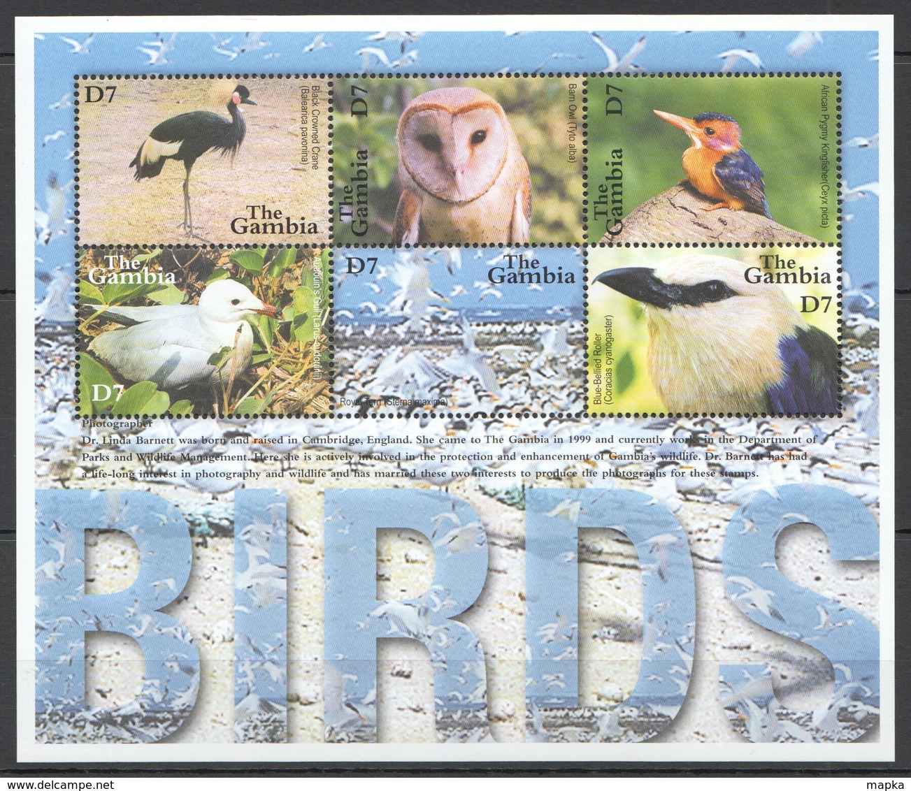 A430 GAMBIA FAUNA BIRDS 1KB MNH - Autres & Non Classés