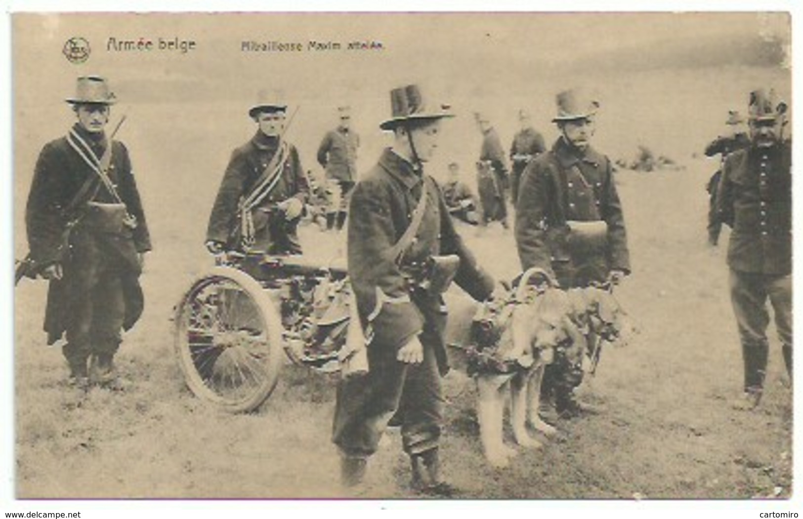 Guerre De 14/18 - Armée Belge - Mitrailleuse Maxim - Attelage De Chiens - Guerre 1914-18