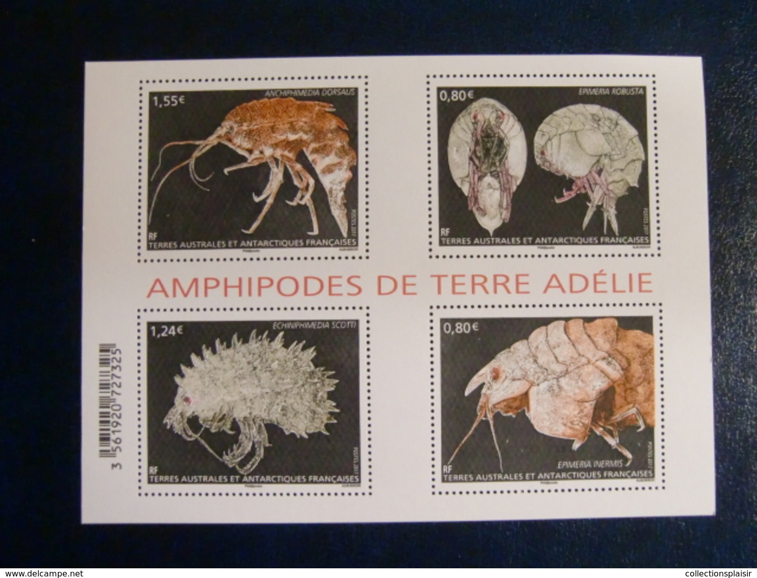 LIQUIDATION POLYNESIE TERRES AUSTRALES ET ST PIERRE ET MIQUELON TIMBRES ET BLOCS NEUFS