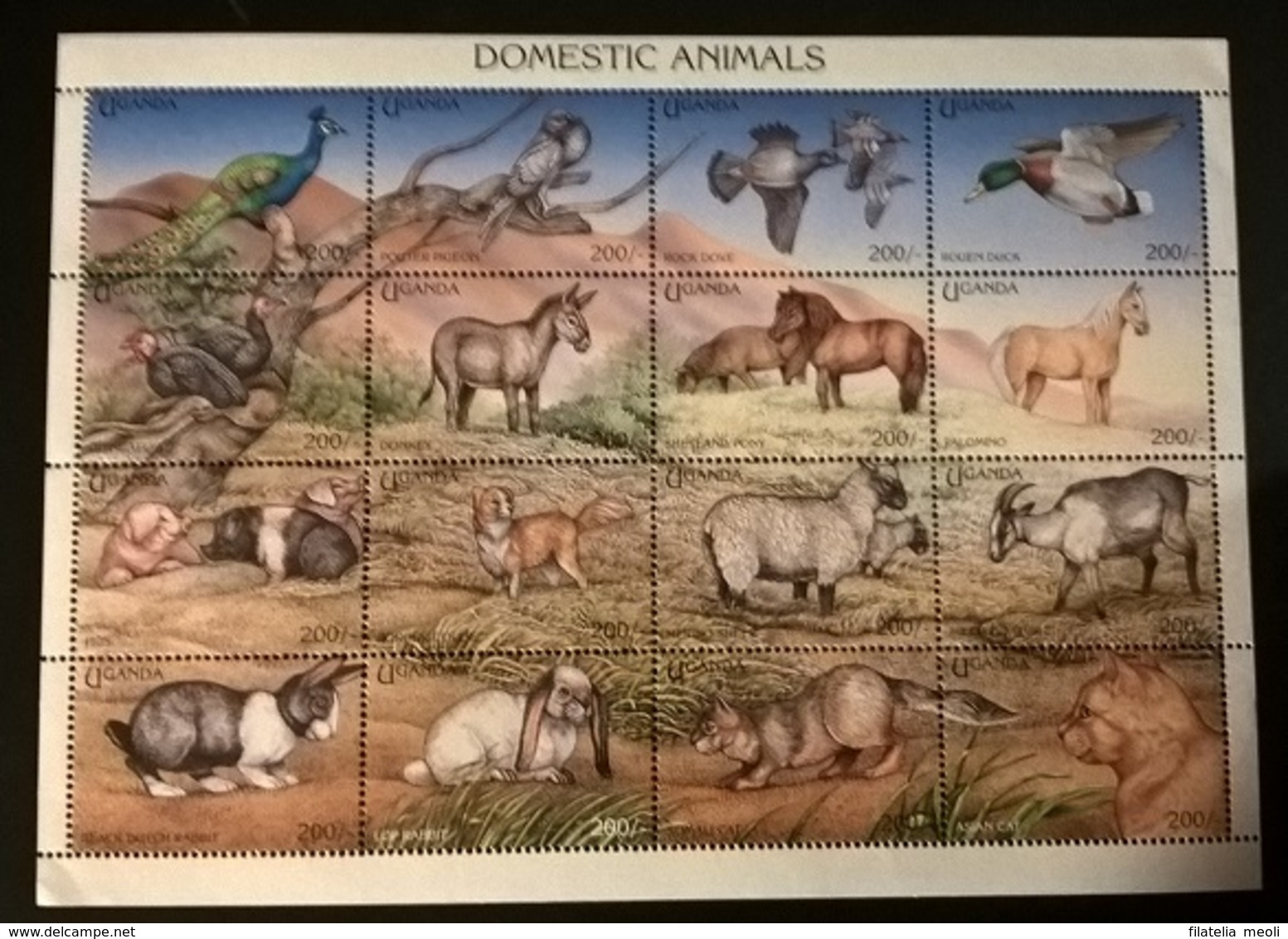 UGANDA ANIMALI DOMESTICI - Uganda (1962-...)