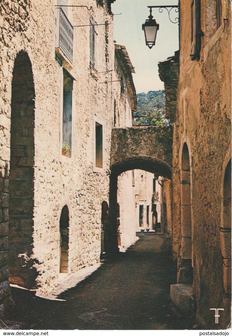 (FRA1172) SAINT GUILHEM LE DESERT . UNE RUE - Otros & Sin Clasificación