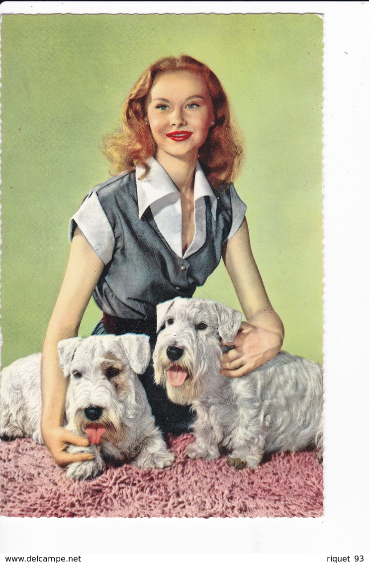 Lot 8 cpsm de photos couleur Femmes en buste avec chiens