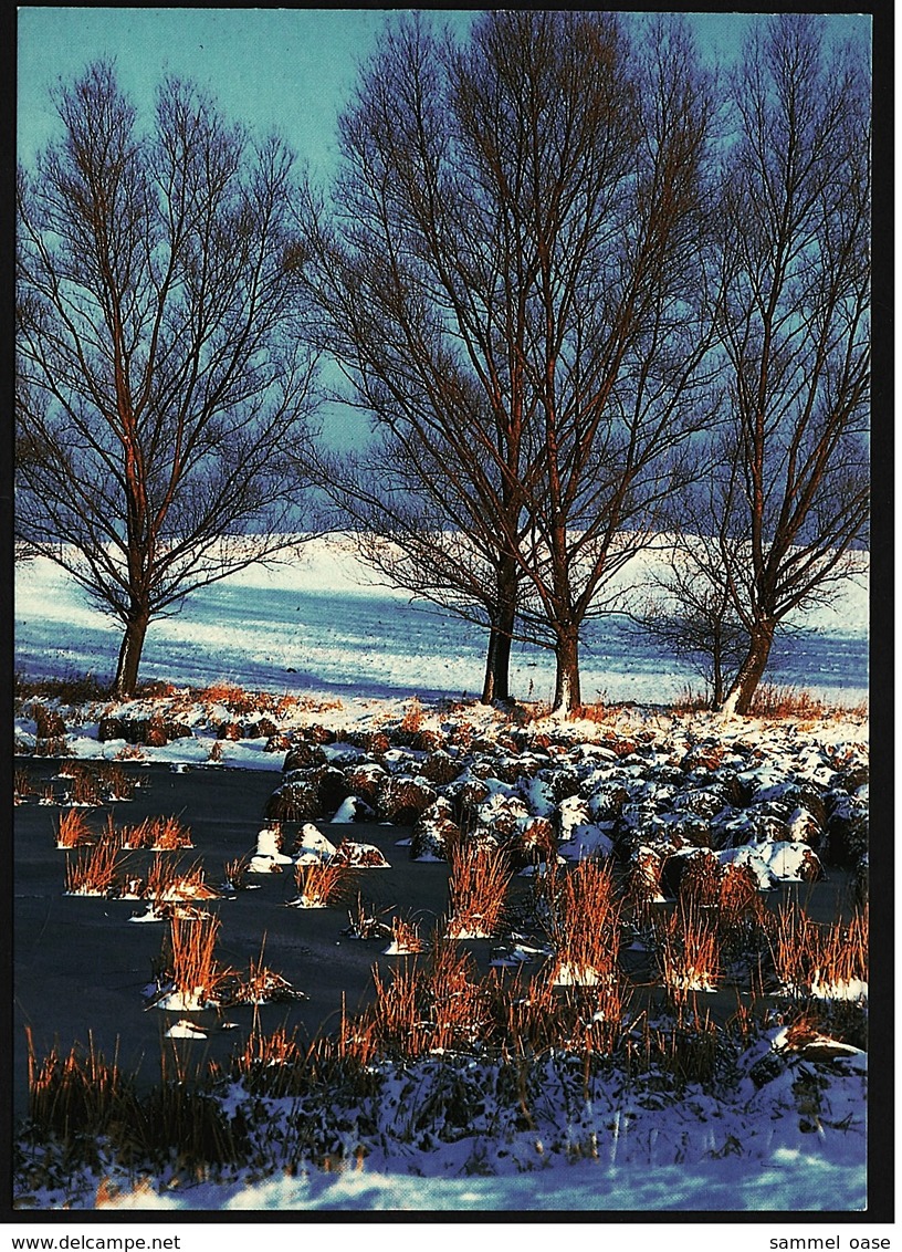 Winterstimmung Am Egelsee  -  DJH / Deutsche Jugend Herberge  -  Ansichtskarte Ca. 1990    (9426) - Leonberg