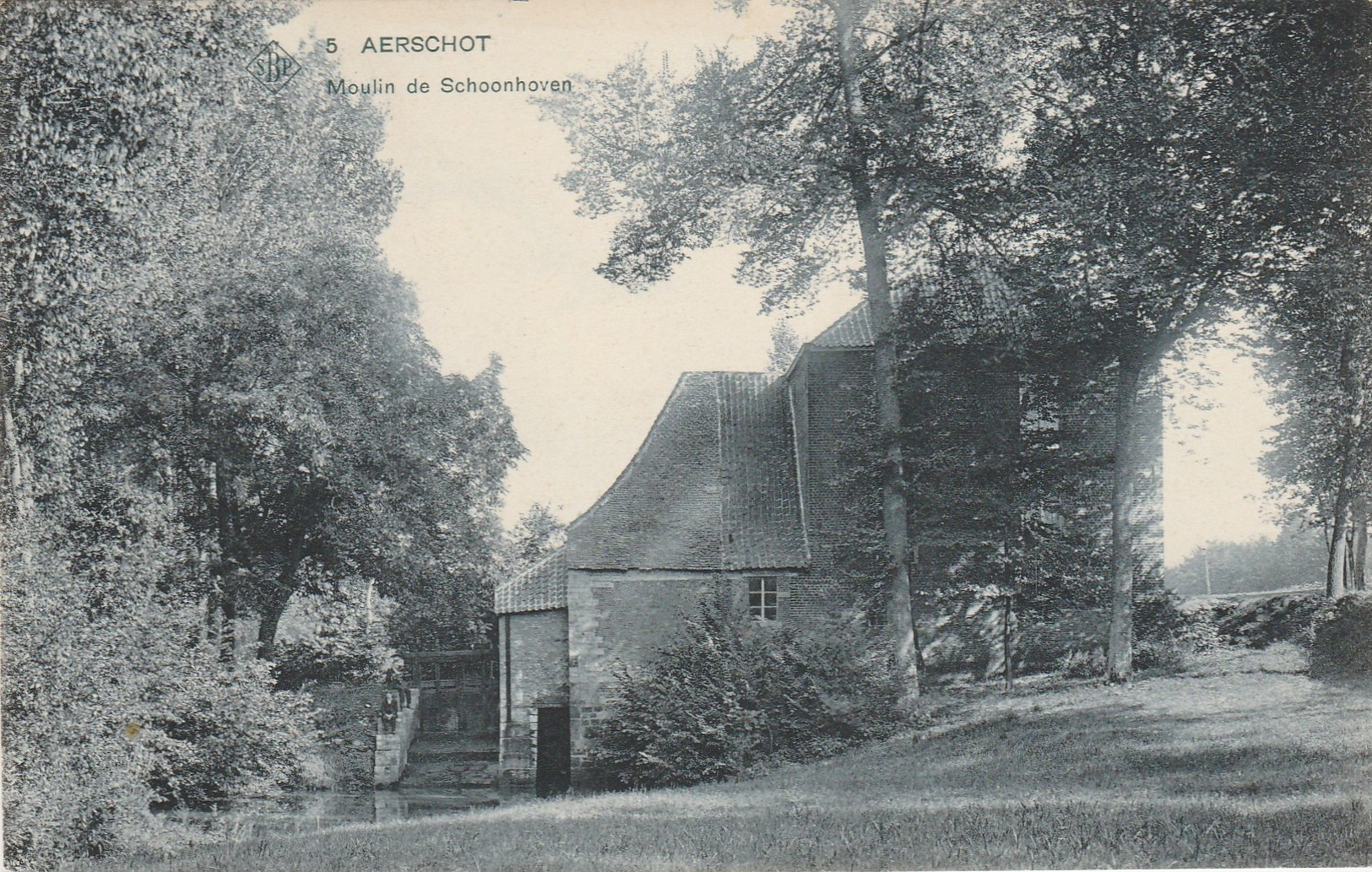 Aerschot ,Aarschot , Moulin De Schoonhoven , Molen ( S B P , N° 5) - Aarschot