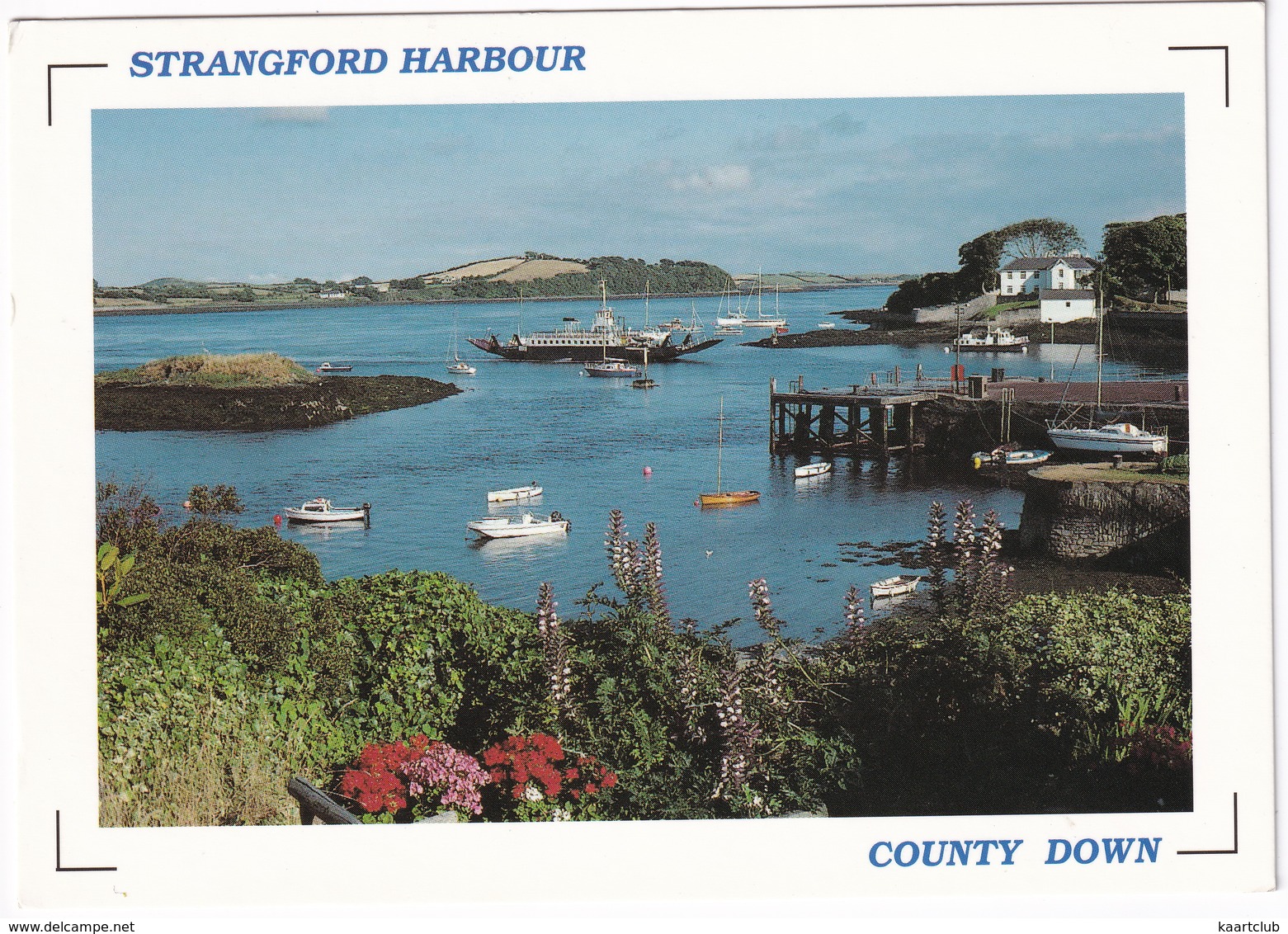 Strangford Harbour - Ferry Arriving From Portaferry - Swan Island -  (County Down, Northern Ireland) - Down