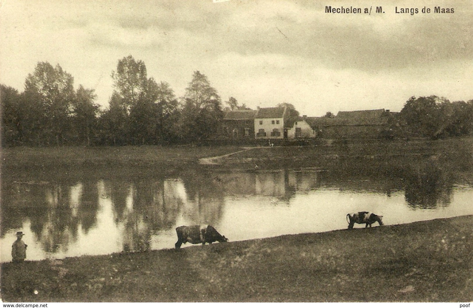 Mechelen A/M. ( Maasmechelen) : Langs De Maas - Maasmechelen