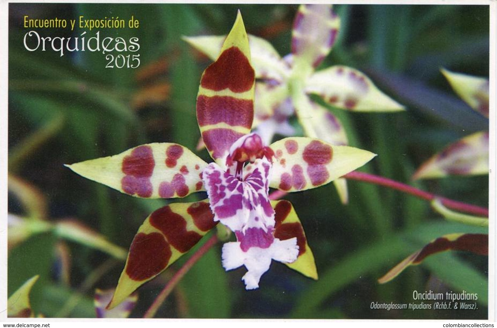 Lote PEP982, Colombia, 2015, Entero Postal, Postal Stationary, Orquidea, Oncidium Tripudians, Orchid - Colombia