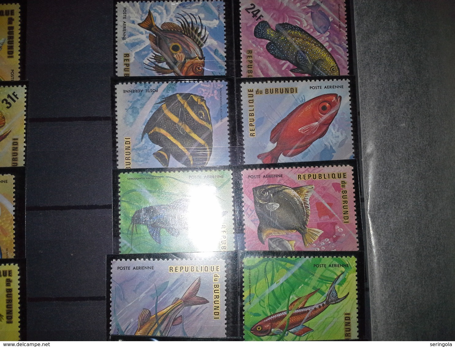 Lot 38 Stamps Burundi  1973 -74 Airmail-Fish  Cv.80 € - Collections (sans Albums)