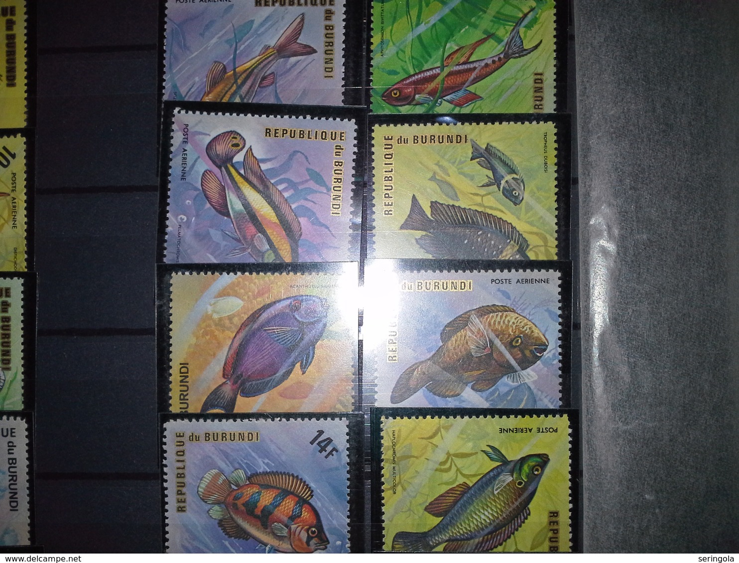 Lot 38 Stamps Burundi  1973 -74 Airmail-Fish  Cv.80 € - Collections (without Album)