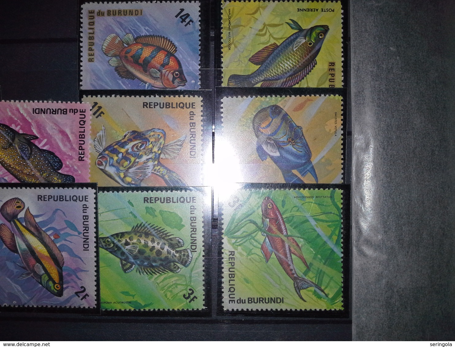 Lot 38 Stamps Burundi  1973 -74 Airmail-Fish  Cv.80 € - Collections (sans Albums)