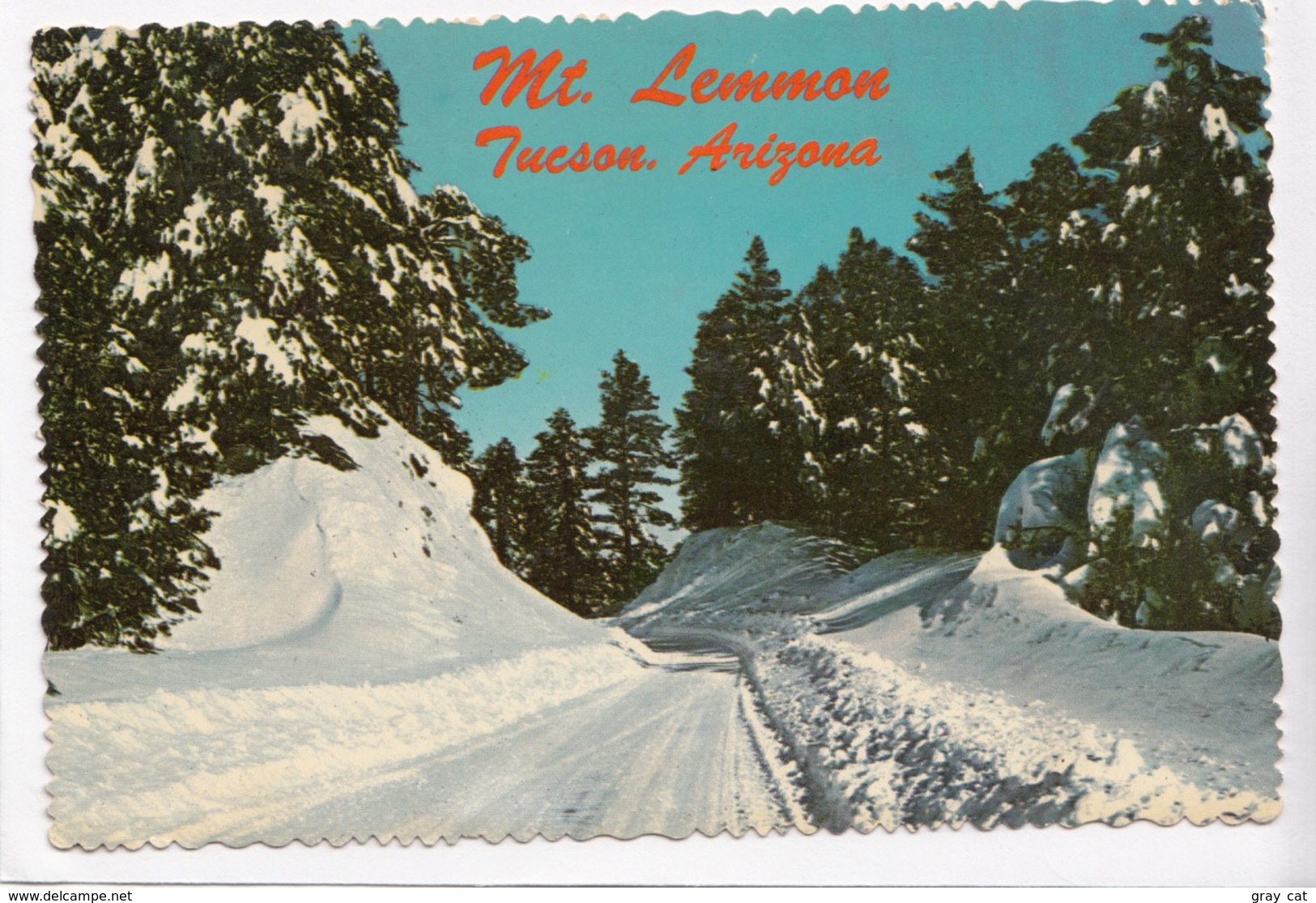 Mt. Lemmon, General Hitchcock Highway, Tucson, Arizona, Unused Postcard [22603] - Tucson