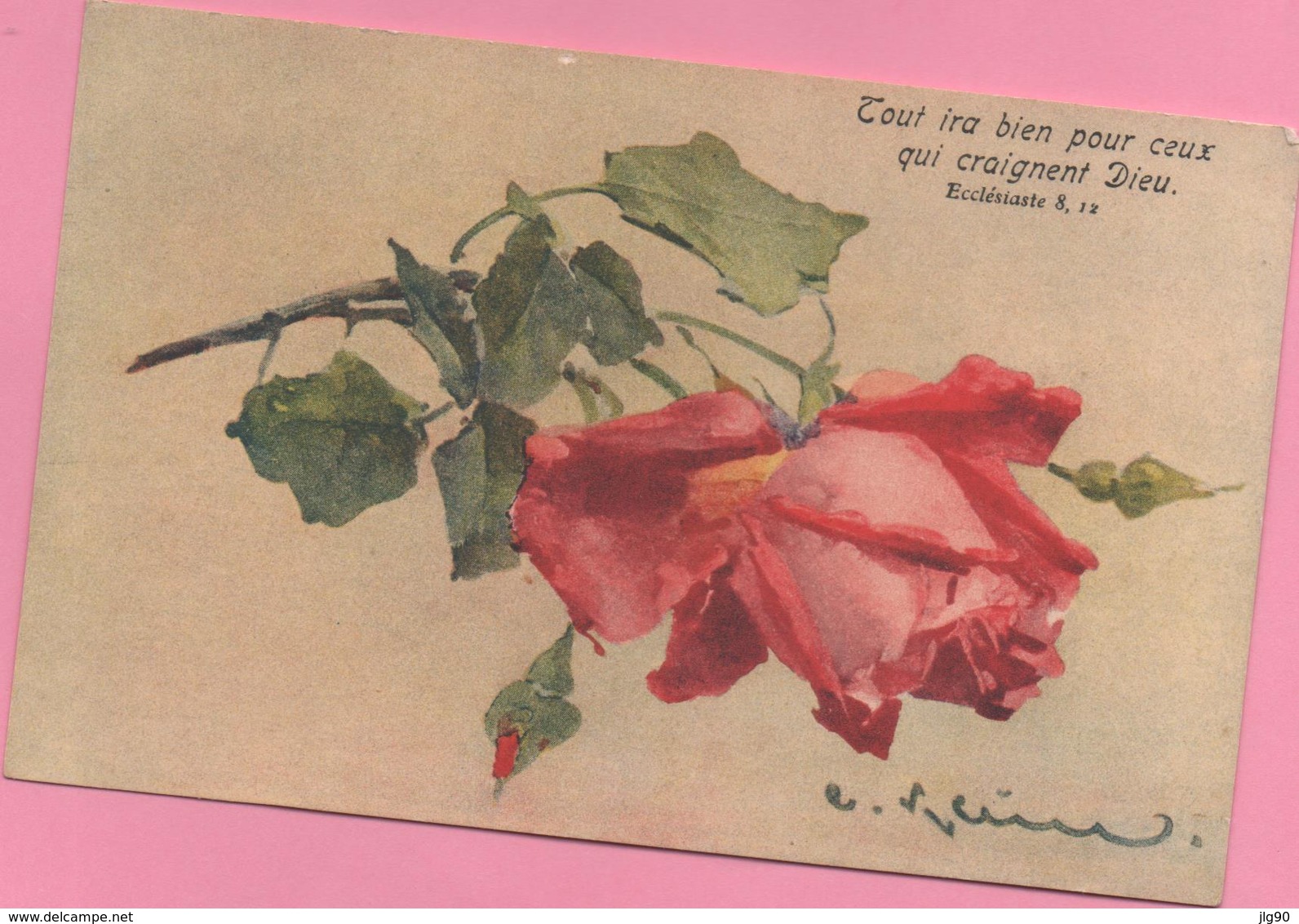 CPA Rose, Circulée - Flores