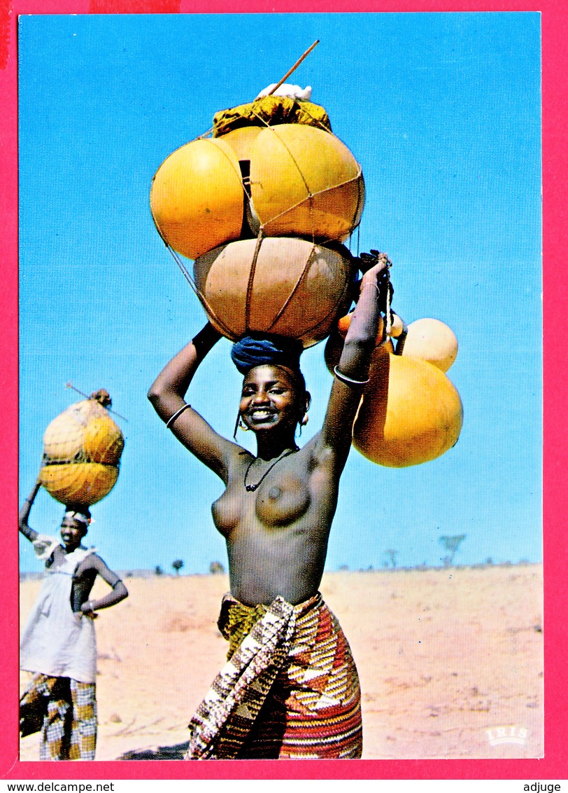 CPM- ZAÏRE 1974- Retour Du Marché- Jeune Femme Seins Nus * TOP ** 2 SCANS - Kinshasa - Leopoldville (Leopoldstadt)