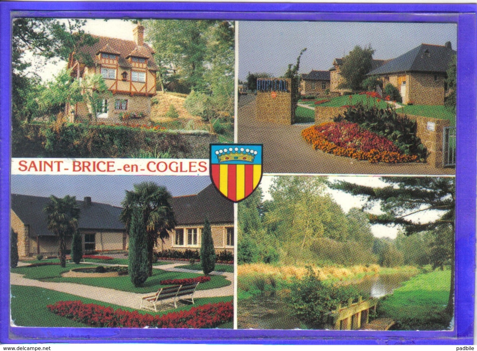 Carte Postale 35. Saint-Brice-en-Cogles Très Beau Plan - Other & Unclassified