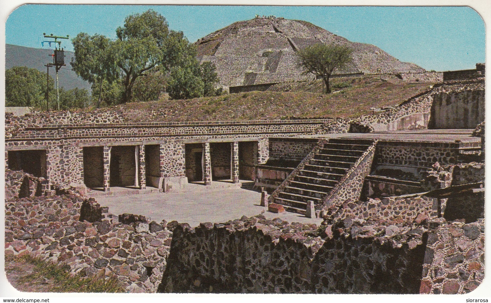 Messico Mexico Tempio De Las Mariposas Farfalle - Sfondo : Piramide Della Luna - Messico