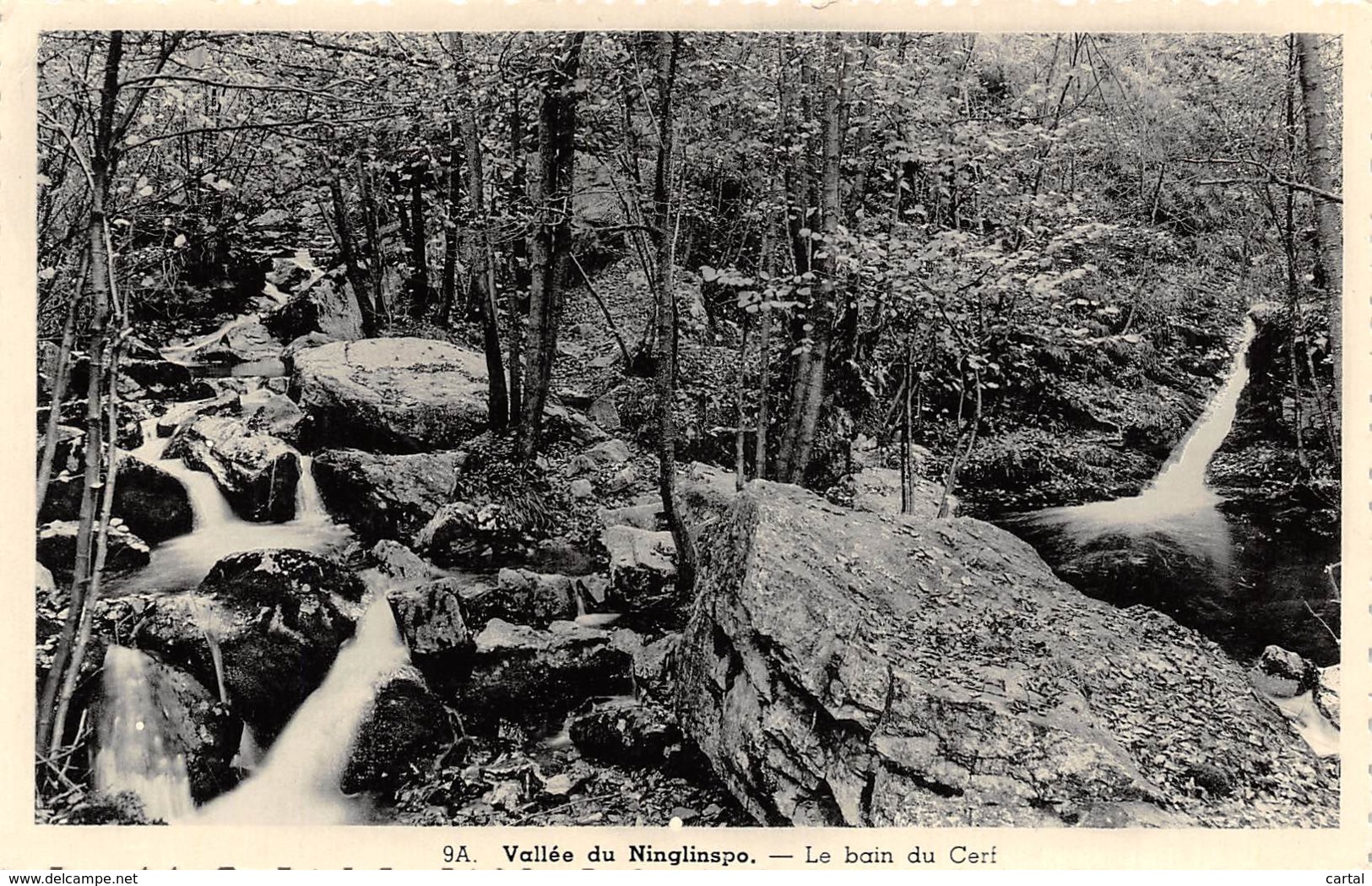 Vallée Du Ninglinspo - Le Bain Du Cerf - Aywaille