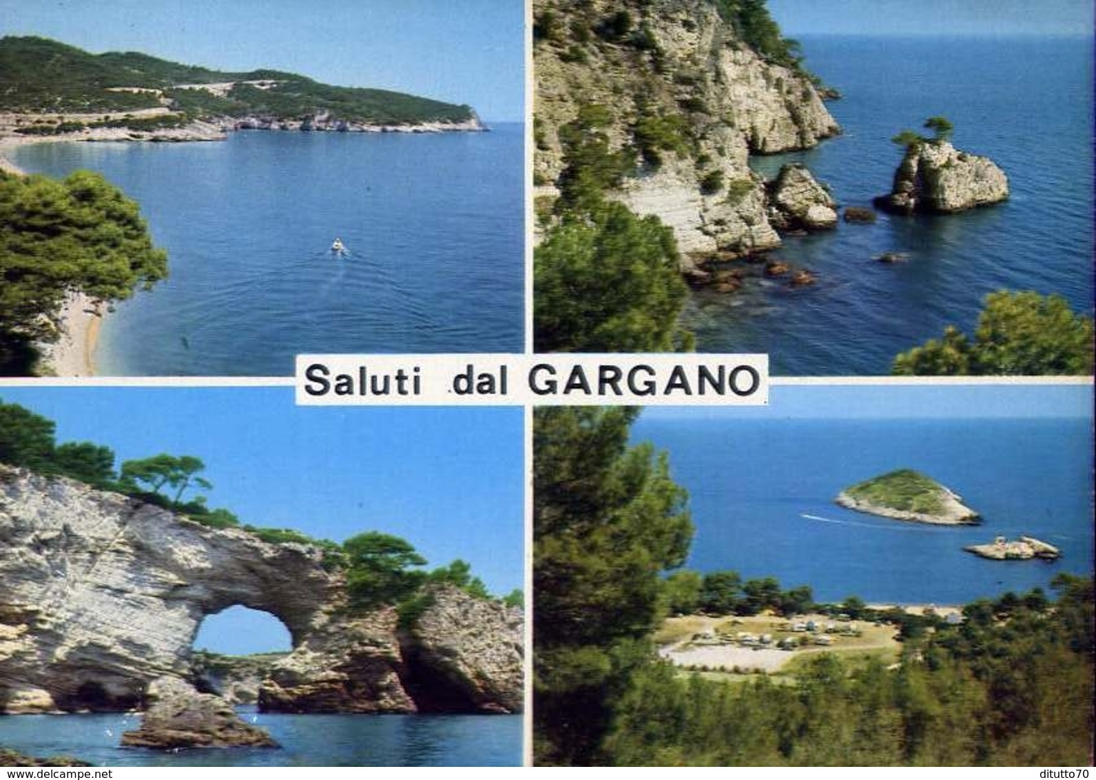 Saluti Dal Gargano - Foggia - 90 - Formato Grande Viaggiata – E 9 - Altri & Non Classificati