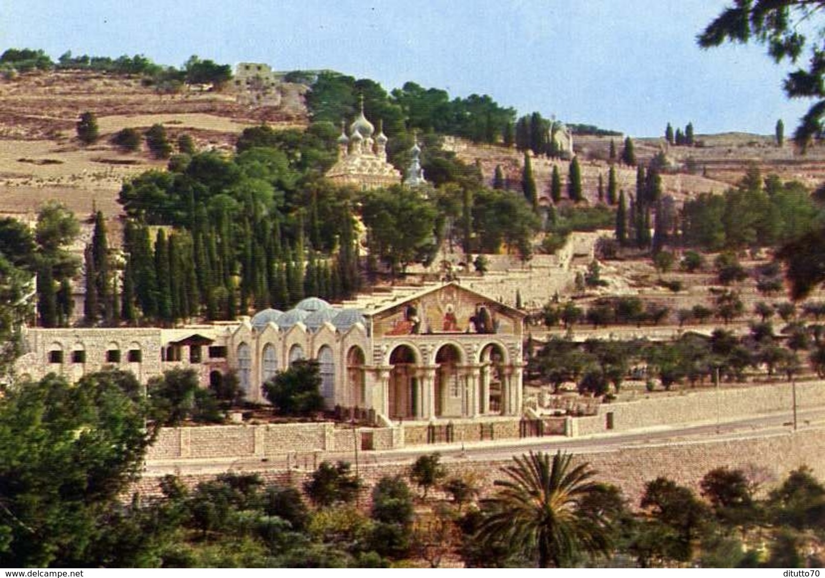 Jerusalem - Old City - Basilica And Gardens Of Gethsemane - Formato Grande Non Viaggiata – E 9 - Israele