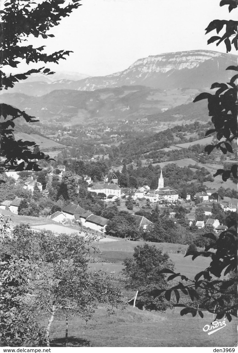 Saint-Geoire-en-Valdaine - Vue Générale Et Les Monts De Savoie - Saint-Geoire-en-Valdaine