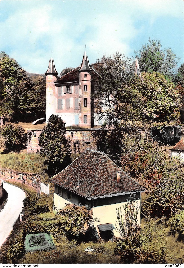 Saint-Geoire-en-Valdaine - Château De La Rochette (Colonie C. N. E. P.) - Saint-Geoire-en-Valdaine