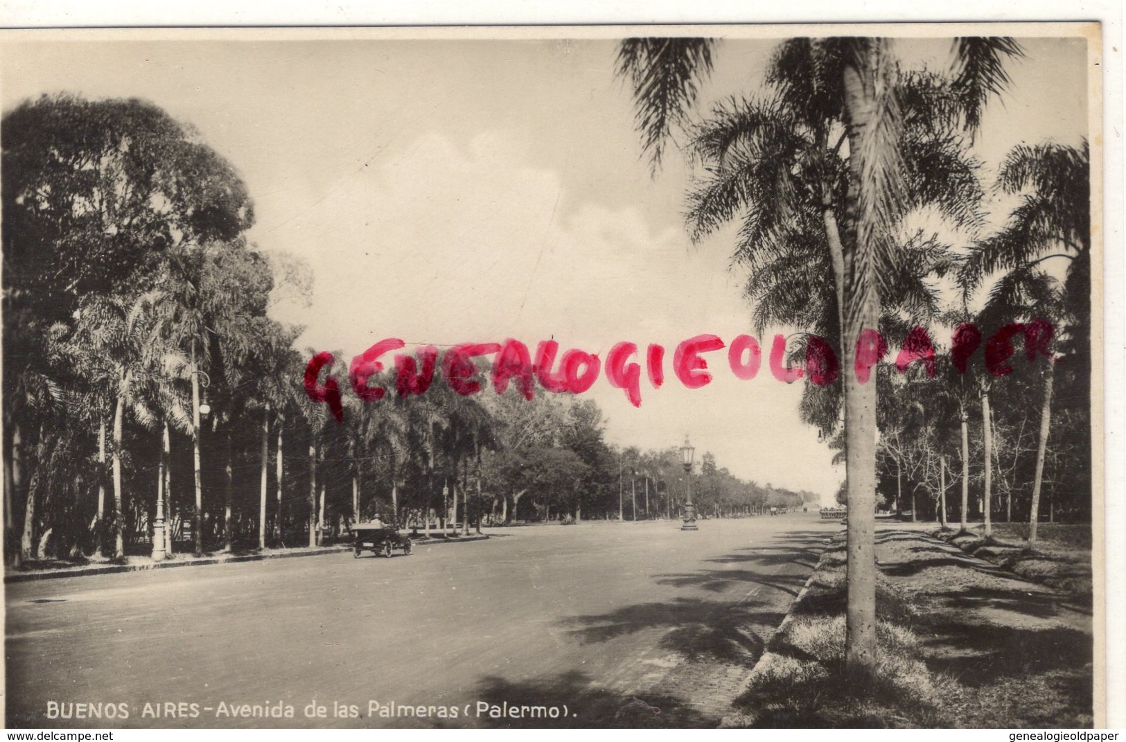 ARGENTINE- BUENOS AIRES- AVENIDA DE LAS PALMERAS PALERMO  - CARTE PHOTO AMERIQUE - Argentine