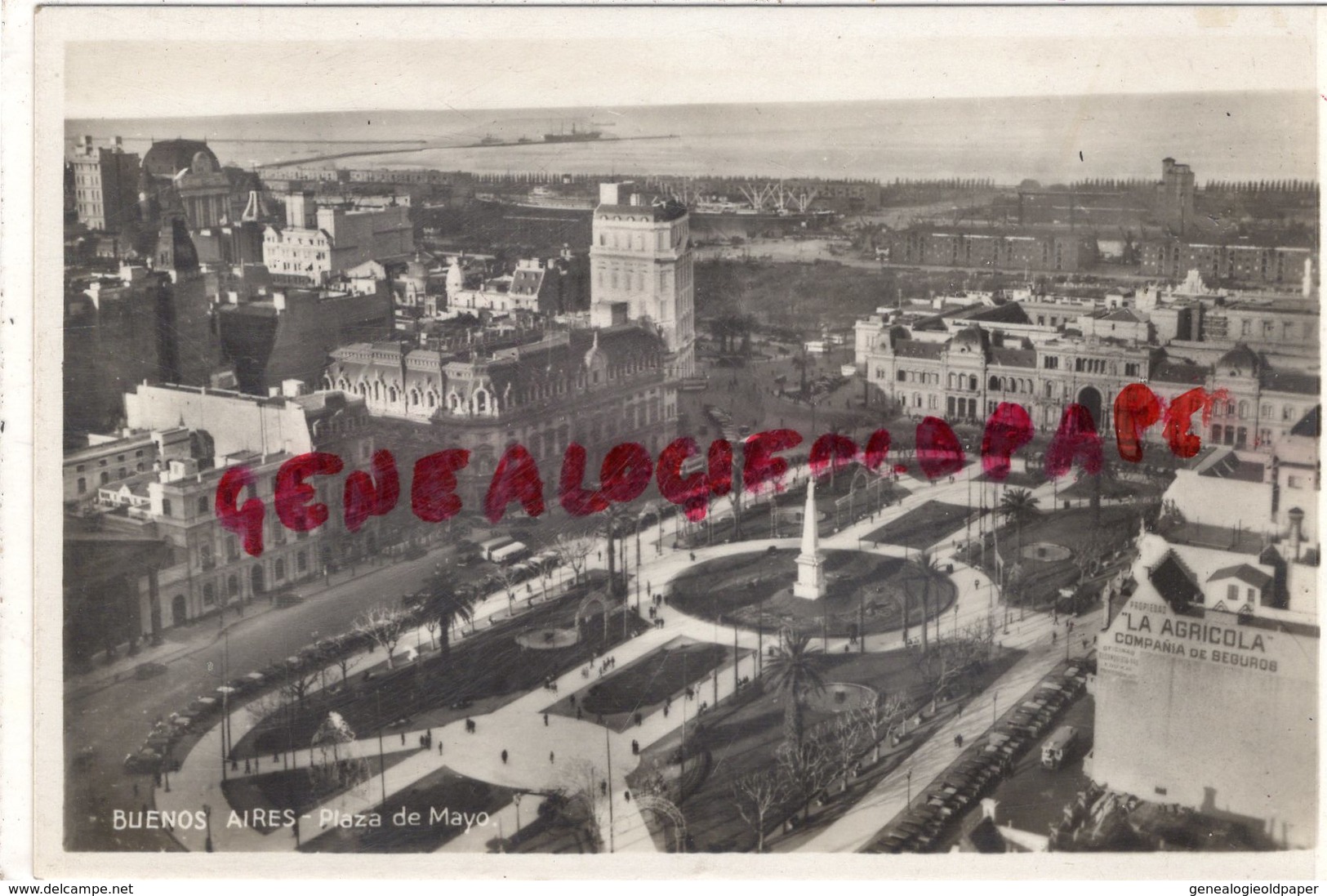 ARGENTINE- BUENOS AIRES- PLAZA DE MAYO - CARTE PHOTO AMERIQUE - Argentine