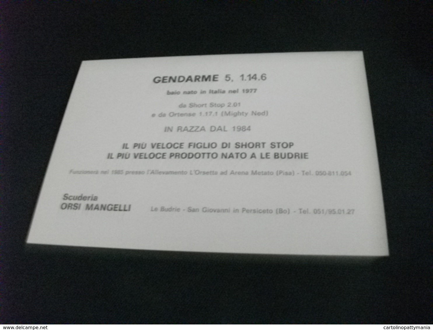 CORSE AL TROTTO SCUDERIA ORSI MANGELLI GENDARME LE BUDRIE SAN G. IN PERSICETO BOLOGNA - Ippica