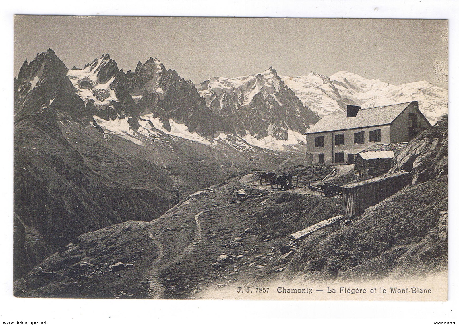 CHAMONIX  LA FLEGERE ET LE MONT BLANC - Chamonix-Mont-Blanc